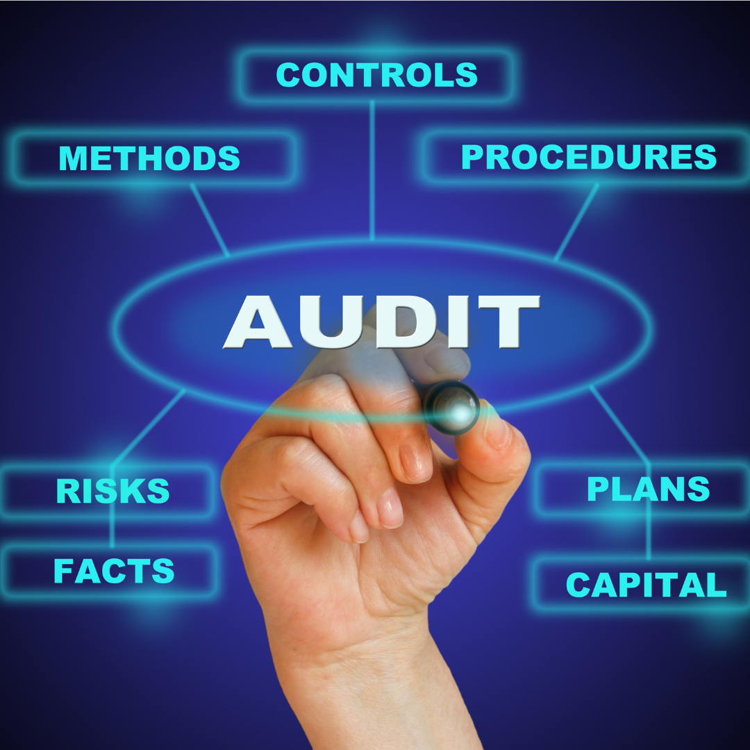 Audit Service